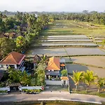 Dijero At Umah Bali